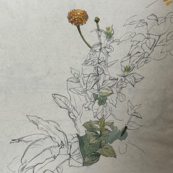 Mahoney Sunflowers Study No2