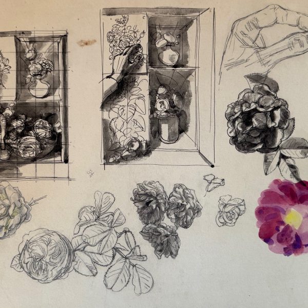 Mahoney-roses-camillias-37x53