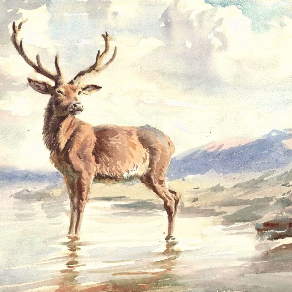 Raymond Sheppard - Monarch of the Glen