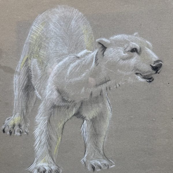 Raymond-Sheppard-Study-Polar-Bear