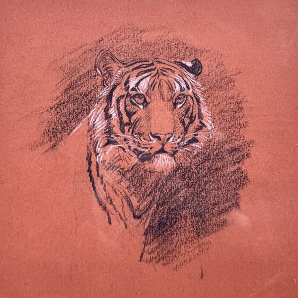 Raymond-Sheppard-Study-Tiger