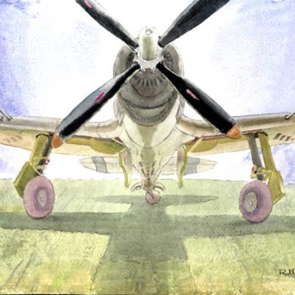 Rudolf Sauter - The Sinister Insect: The Dragon Fly