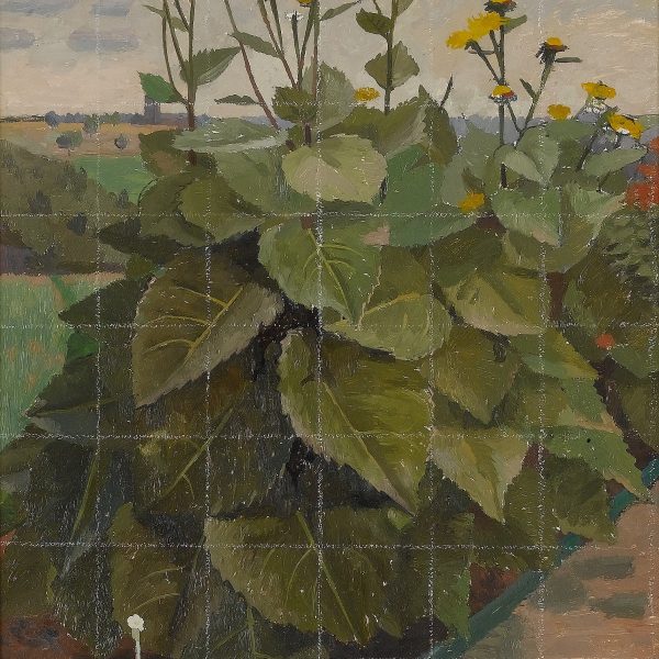 charles-mahoney-study-for-yellow-ox-eye-daisies-mid1950s-243